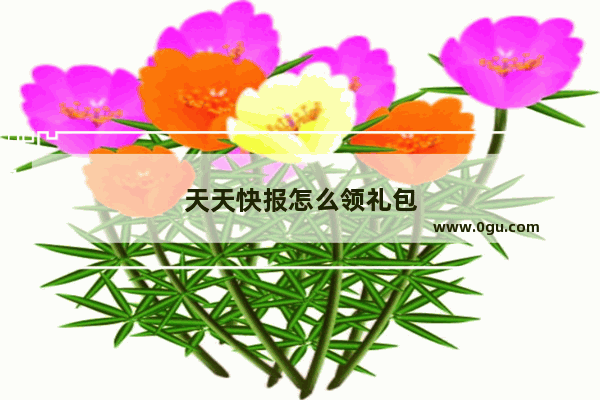天天快报怎么领礼包
