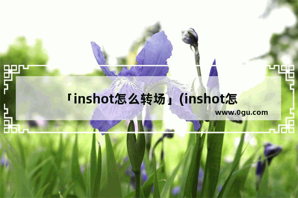 「inshot怎么转场」(inshot怎么转场效果)