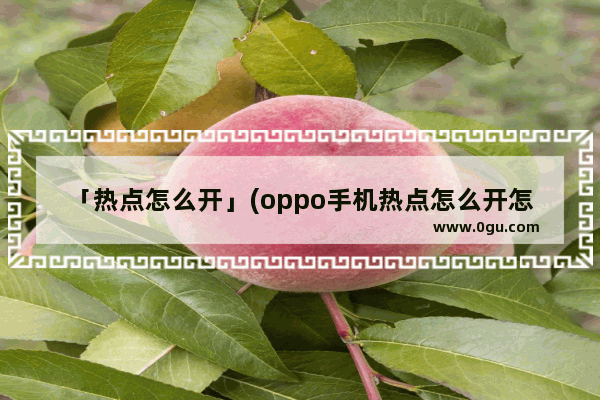 「热点怎么开」(oppo手机热点怎么开怎么分享)