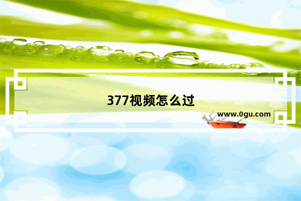 377视频怎么过