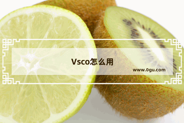 Vsco怎么用