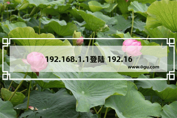 192.168.1.1登陆 192.168.1.1登陆路由器