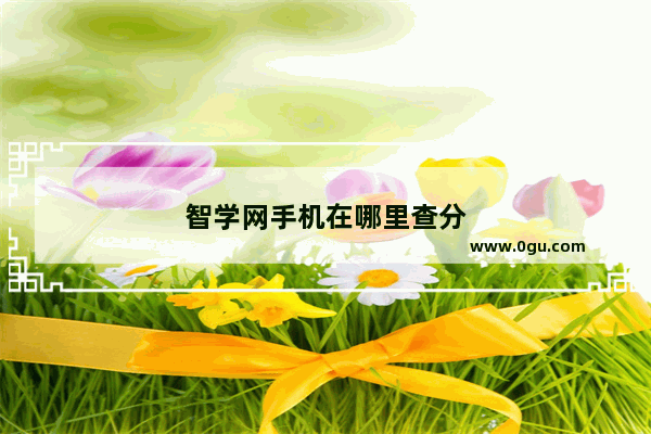 智学网手机在哪里查分