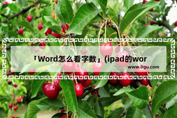 「Word怎么看字数」(ipad的word怎么看字数)