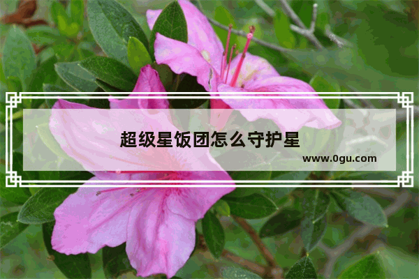 超级星饭团怎么守护星