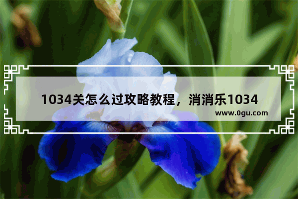 1034关怎么过攻略教程，消消乐1034关怎么过攻略教程