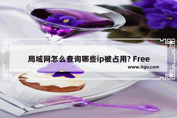 局域网怎么查询哪些ip被占用? Free IP Scanner的使用方法