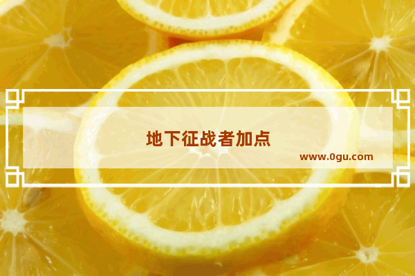 地下征战者加点