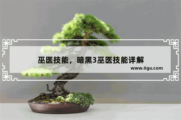 巫医技能，暗黑3巫医技能详解