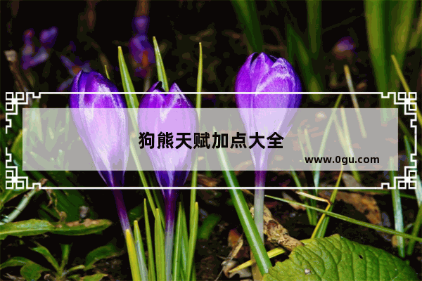 狗熊天赋加点大全