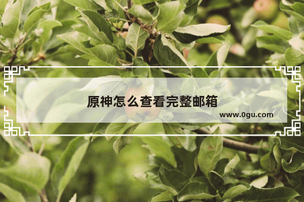 原神怎么查看完整邮箱