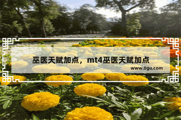 巫医天赋加点，mt4巫医天赋加点