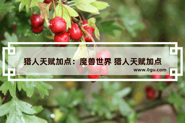 猎人天赋加点：魔兽世界 猎人天赋加点
