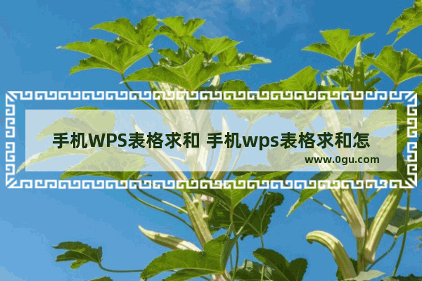 手机WPS表格求和 手机wps表格求和怎么操作