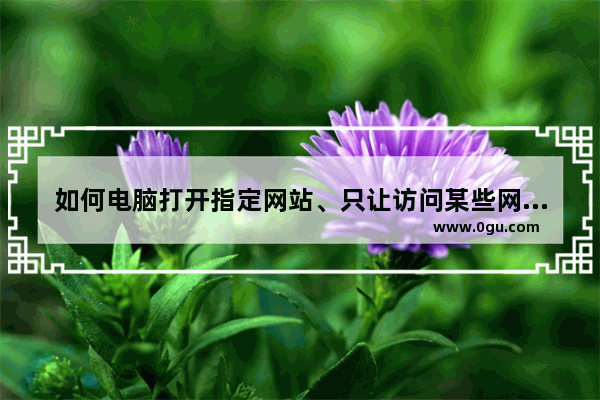 如何电脑打开指定网站、只让访问某些网站以及怎样禁止打开某个网站的方法