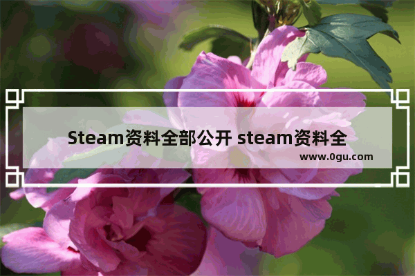 Steam资料全部公开 steam资料全部公开却无法5e天梯