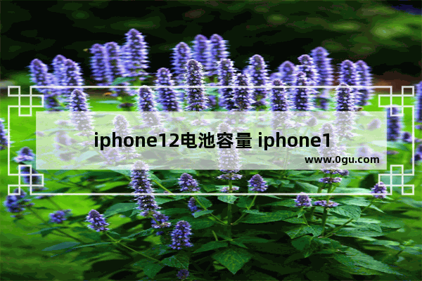 iphone12电池容量 iphone12电池容量多少属于正常