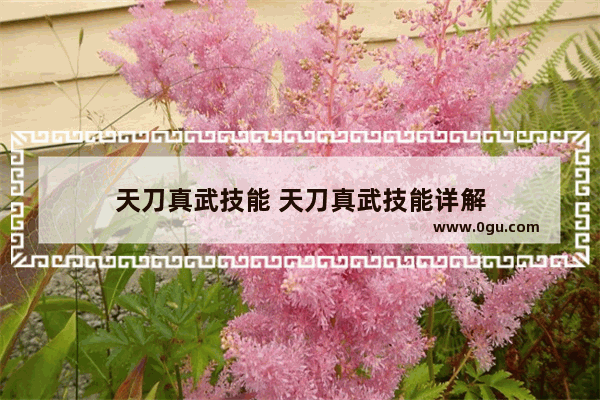 天刀真武技能 天刀真武技能详解