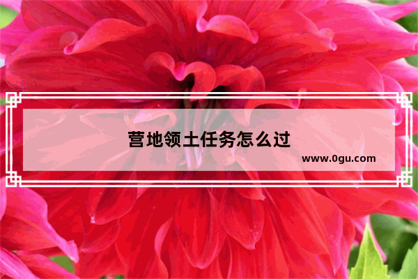 营地领土任务怎么过