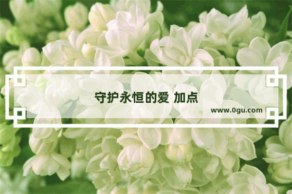 守护永恒的爱 加点