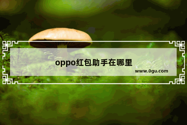 oppo红包助手在哪里