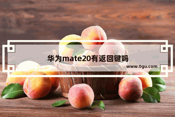 华为mate20有返回键吗