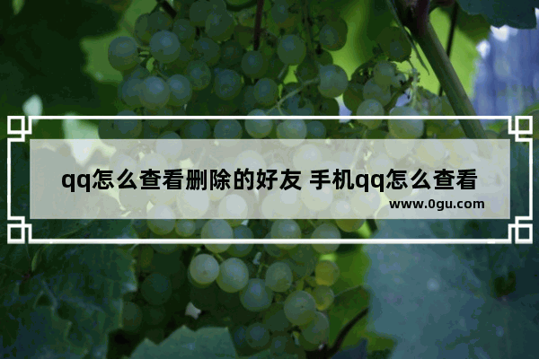 qq怎么查看删除的好友 手机qq怎么查看删除的好友