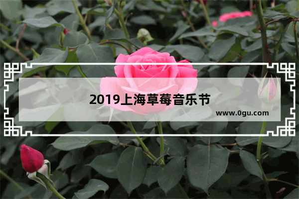 2019上海草莓音乐节