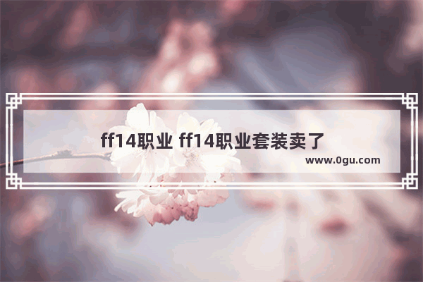 ff14职业 ff14职业套装卖了