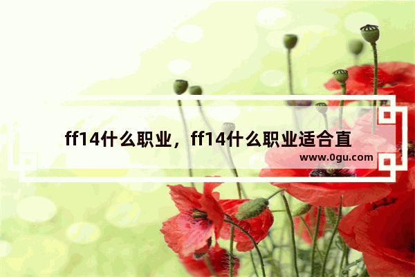 ff14什么职业，ff14什么职业适合直升