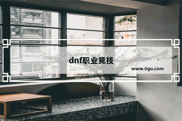 dnf职业竞技