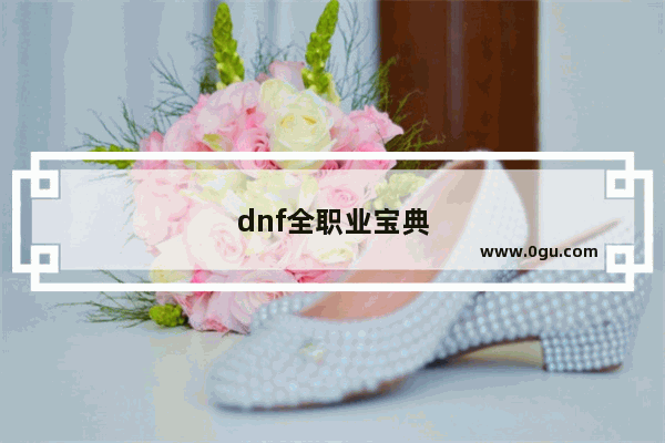 dnf全职业宝典