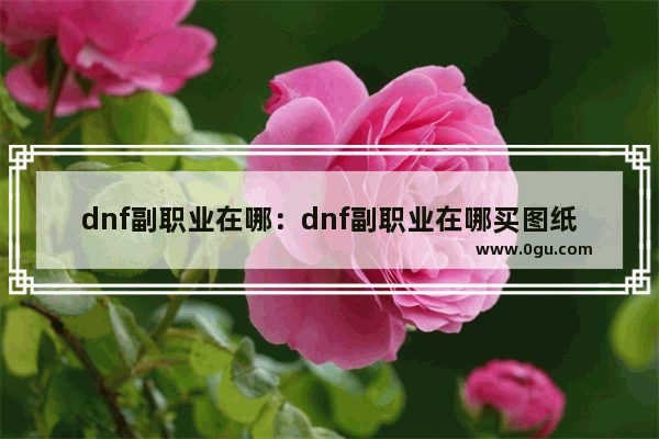 dnf副职业在哪：dnf副职业在哪买图纸