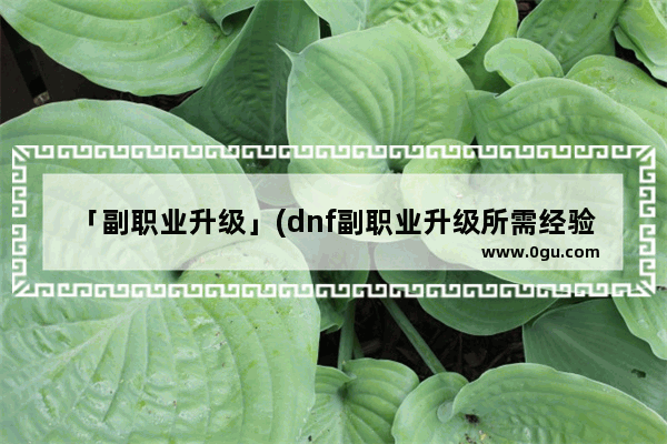 「副职业升级」(dnf副职业升级所需经验)