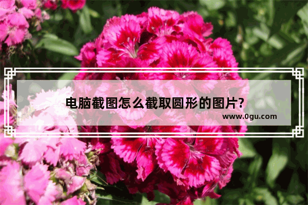 电脑截图怎么截取圆形的图片?
