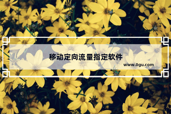 移动定向流量指定软件