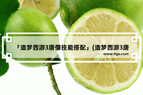 「造梦西游3唐僧技能搭配」(造梦西游3唐僧技能搭配最炫酷)