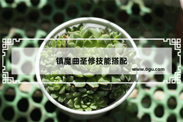 镇魔曲圣修技能搭配