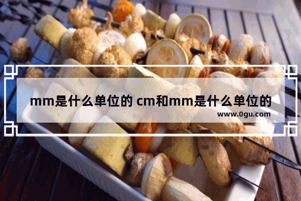 mm是什么单位的 cm和mm是什么单位的名称