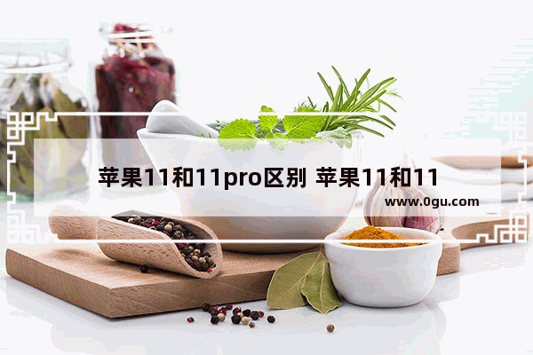 苹果11和11pro区别 苹果11和11pro区别和11max价格