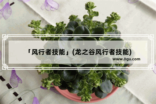 「风行者技能」(龙之谷风行者技能)