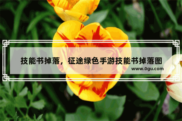 技能书掉落，征途绿色手游技能书掉落图