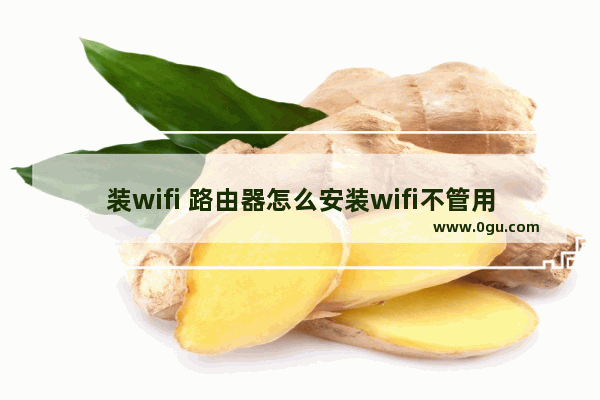 装wifi 路由器怎么安装wifi不管用