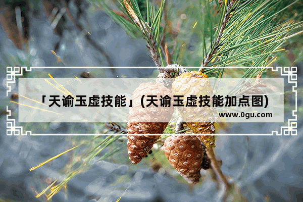 「天谕玉虚技能」(天谕玉虚技能加点图)
