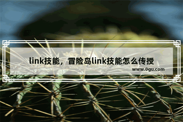 link技能，冒险岛link技能怎么传授