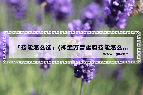 「技能怎么选」(神武万兽坐骑技能怎么选择)