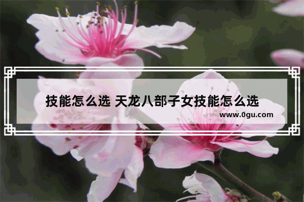 技能怎么选 天龙八部子女技能怎么选