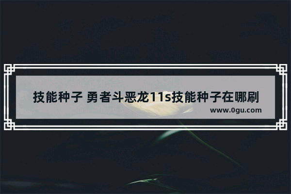 技能种子 勇者斗恶龙11s技能种子在哪刷