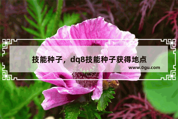 技能种子，dq8技能种子获得地点