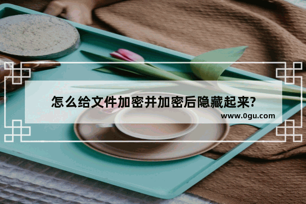 怎么给文件加密并加密后隐藏起来?